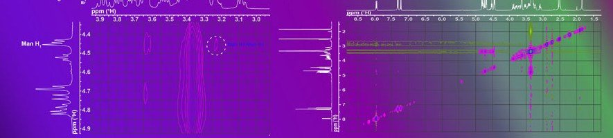 NMR spectrum.
