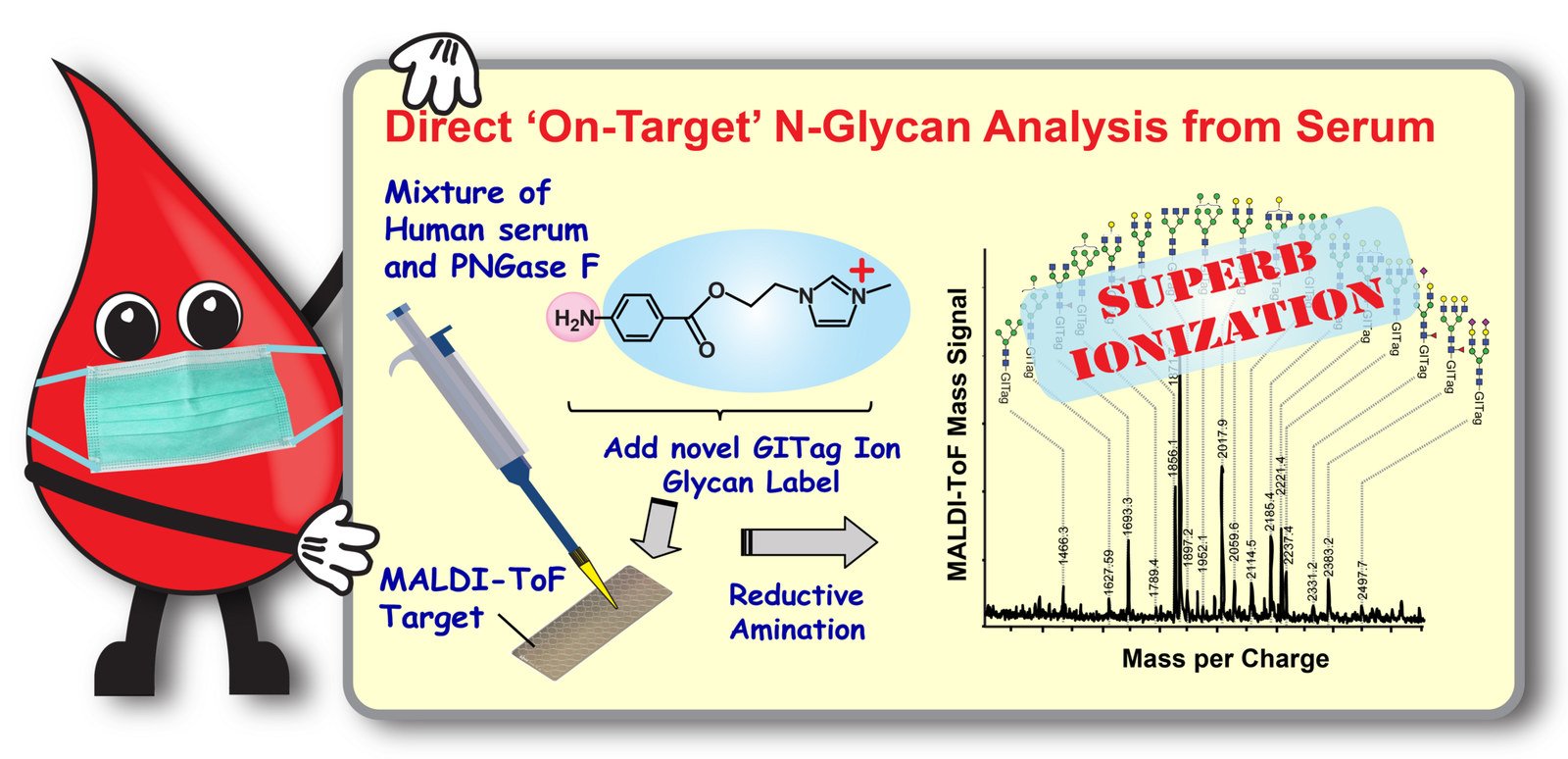 Graphical abstract: glycosylation analysis.